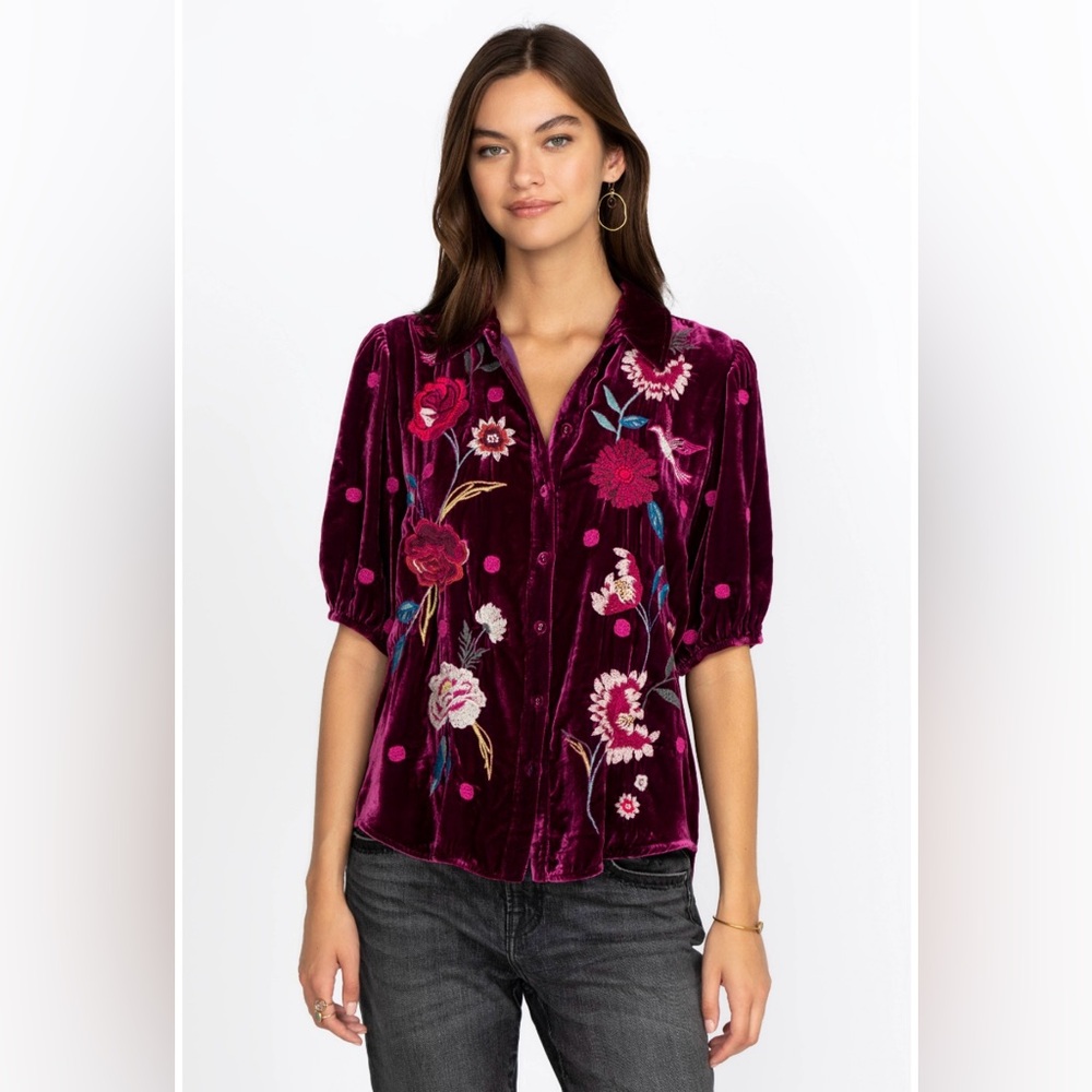 NWT JohnnyWas Velvet Lisbon top xl